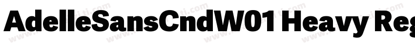 AdelleSansCndW01 Heavy Regular字体转换